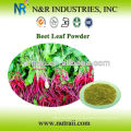 Natural Dried Beet root powder dehydrated red beet powder